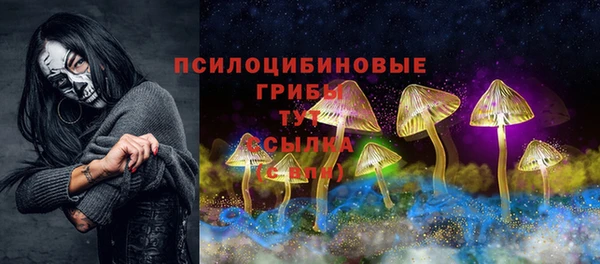 прущая мука Бежецк
