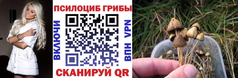 Галлюциногенные грибы GOLDEN TEACHER  блэк спрут как войти  Ржев  купить наркоту 